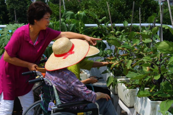 ベランダ菜園