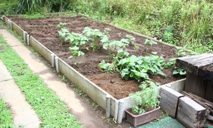 四季折々の作物を 楽しめる菜園